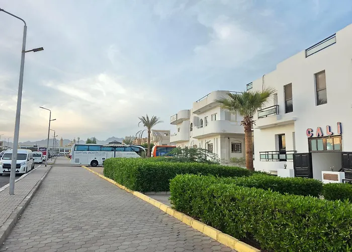 Cali Apartman